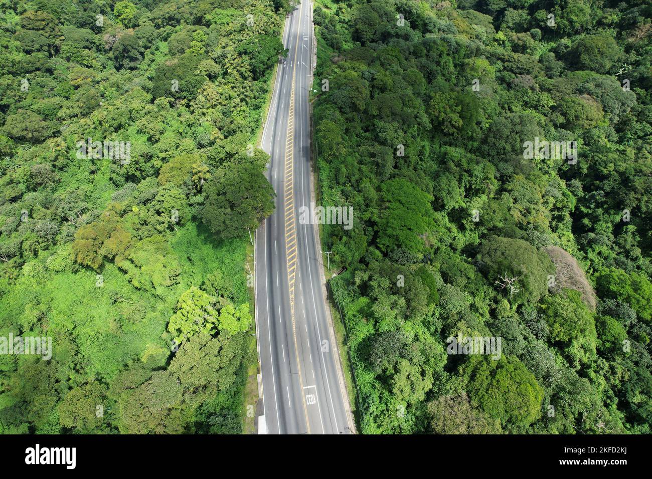 Breite asphaltierte Straße Luftaufnahme in grünem Dschungel Hintergrund Stockfoto