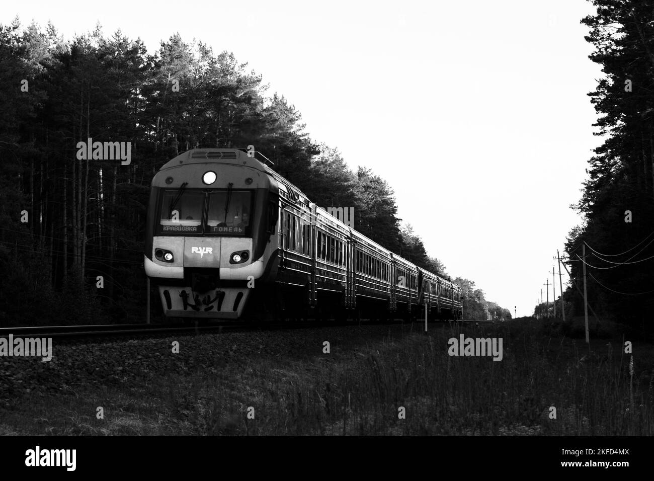 Nahaufnahme eines Elektrozuges, der in der Nähe des Waldes in schwarz-weiß in Gomel, Weißrussland, fährt Stockfoto