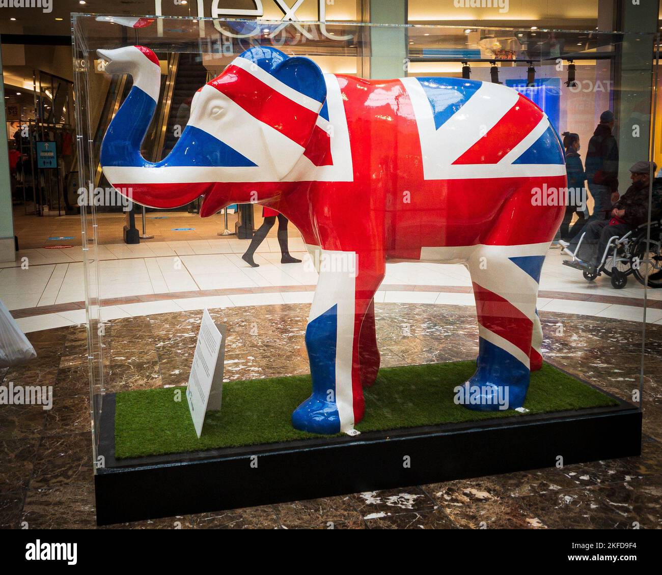 Eine wunderschöne Elefantenstatue aus Keramik mit der britischen Flagge in einer Glasbox in Doncaster, Großbritannien Stockfoto