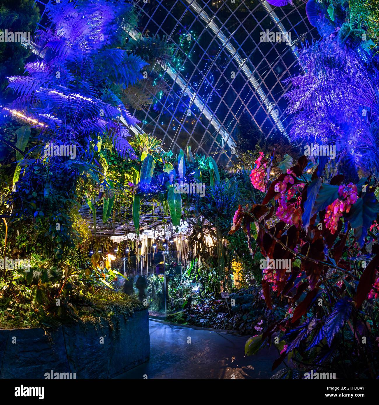 Avatar – das Erlebnis im Clouds Forest, Gardens by the Bay, Singapur. Stockfoto