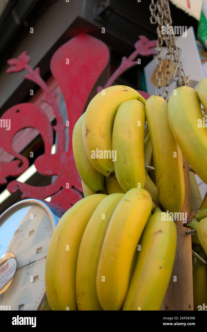 Bananen hängen in einem Blumenobststand Stockfoto