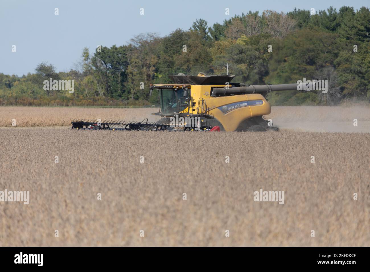 Ernte von Sojabohnen in der Nähe der US Route 34 in Biggsville, Illinois Stockfoto