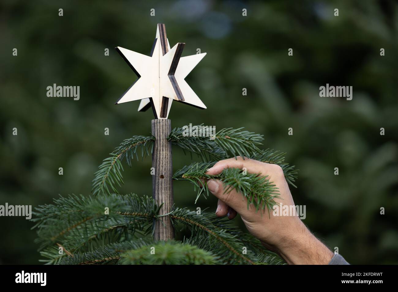 10. November 2022, Niedersachsen, Osnabrück: Eine Hand steckt einen Tannenzweig in den Stamm eines alternativen Weihnachtsbaums mit einem Stern darauf. Der Keinachtsbaum, der die klassische Tanne ersetzt, besteht aus einem Holzstab, der jedes Jahr zu Weihnachten mit neuem Tannengrün bestückt wird. Die Idee des Osnabrücker Start-up stieß auf großes Interesse.(to dpa: 'Der Keinachtsbaum soll die Weihnachtstanne im Wald lassen') Foto: Friso Gentsch/dpa Stockfoto