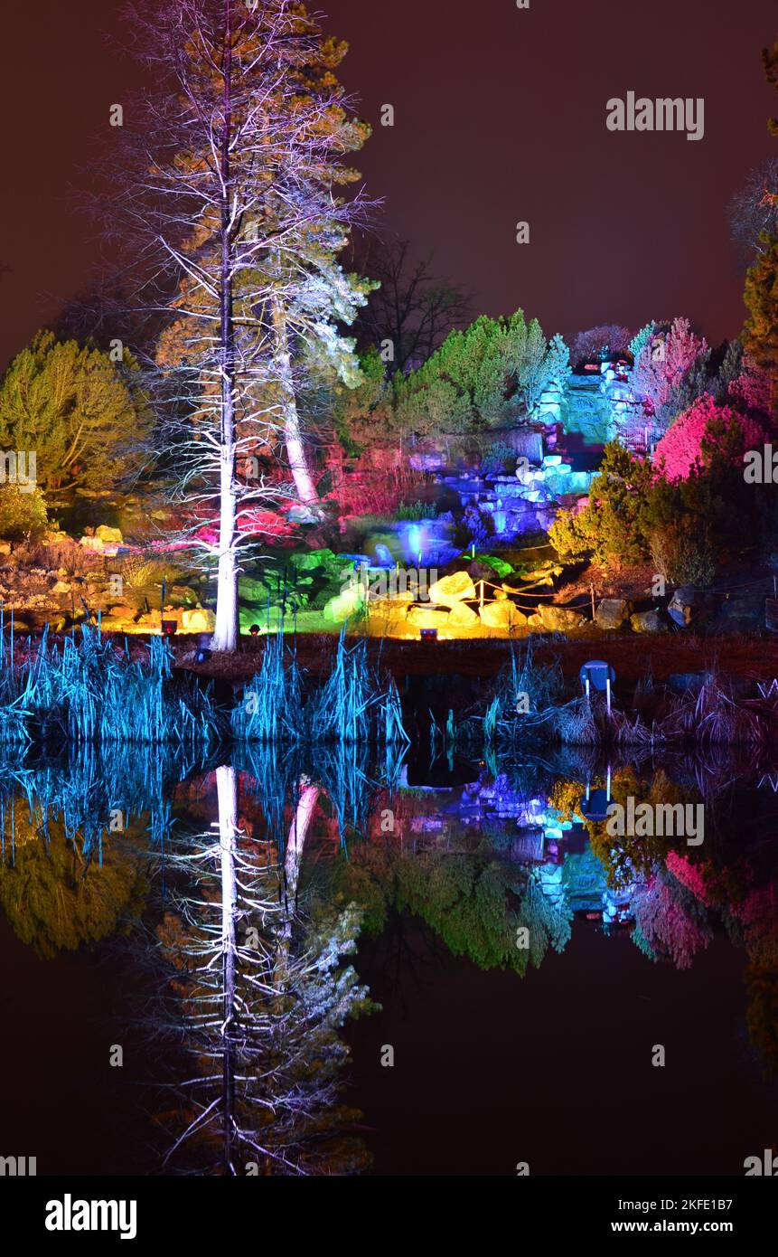 Beleuchtete Bäume am See spiegeln sich im Wasser Gruga Park Essen Deutschland Stockfoto