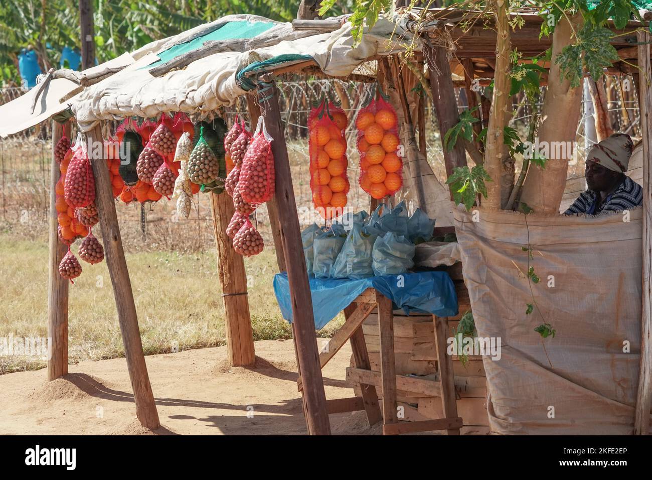 Obst und Nüsse Verkäufer oder Verkäufer in einem Straßenstand vor einer Farm in einer ländlichen Gegend von Mpumalanga, Südafrika Konzept Kleinunternehmer in Afrika Stockfoto