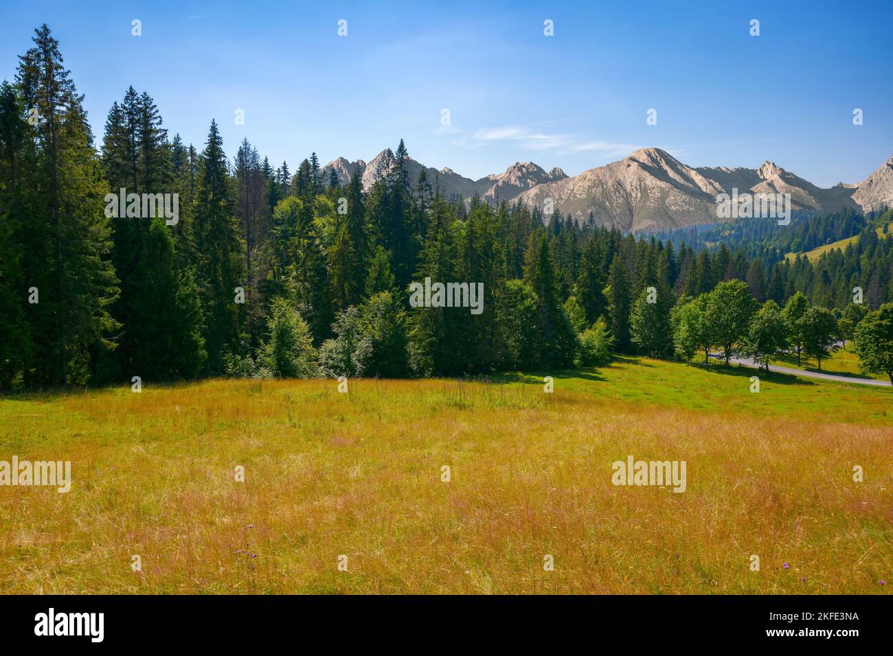 karpaten-Berglandschaft im Sommer. Schöne Landschaft mit bewaldeten Hügeln und Straße durch das Tal Stockfoto