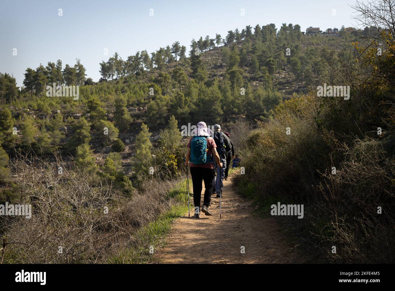 Wanderer auf einem Pfad im Wald von Jerusalem Stockfoto
