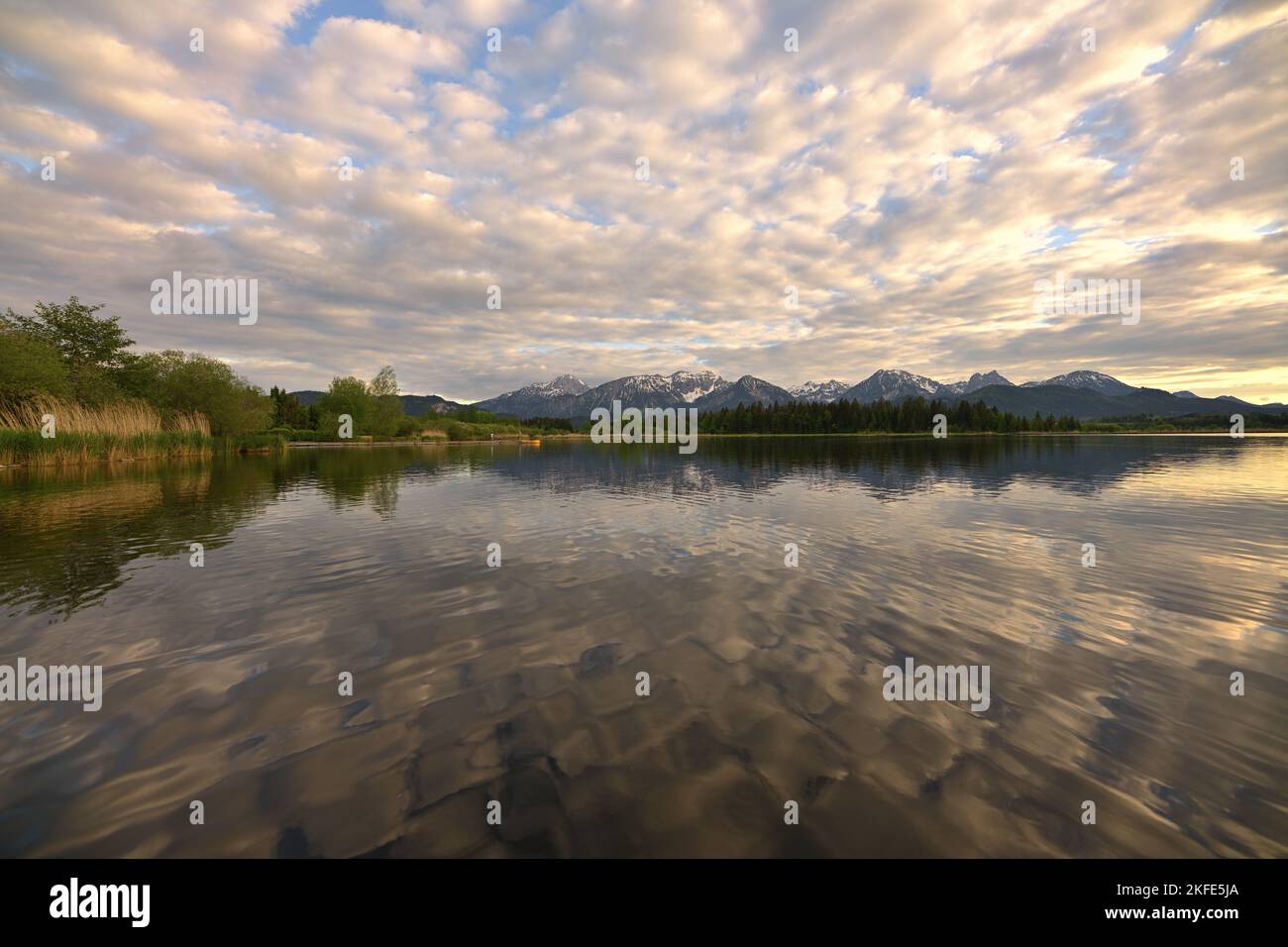 Der idyllische Hopfensee im bayerischen Voralpenland Stockfoto