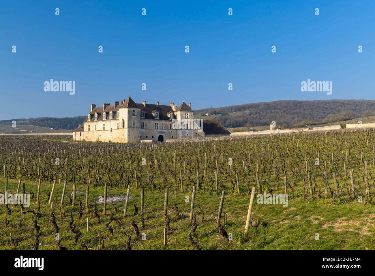 Schloss Clos de Vougeot, Cote de Nuits, Burgund, Frankreich Stockfoto