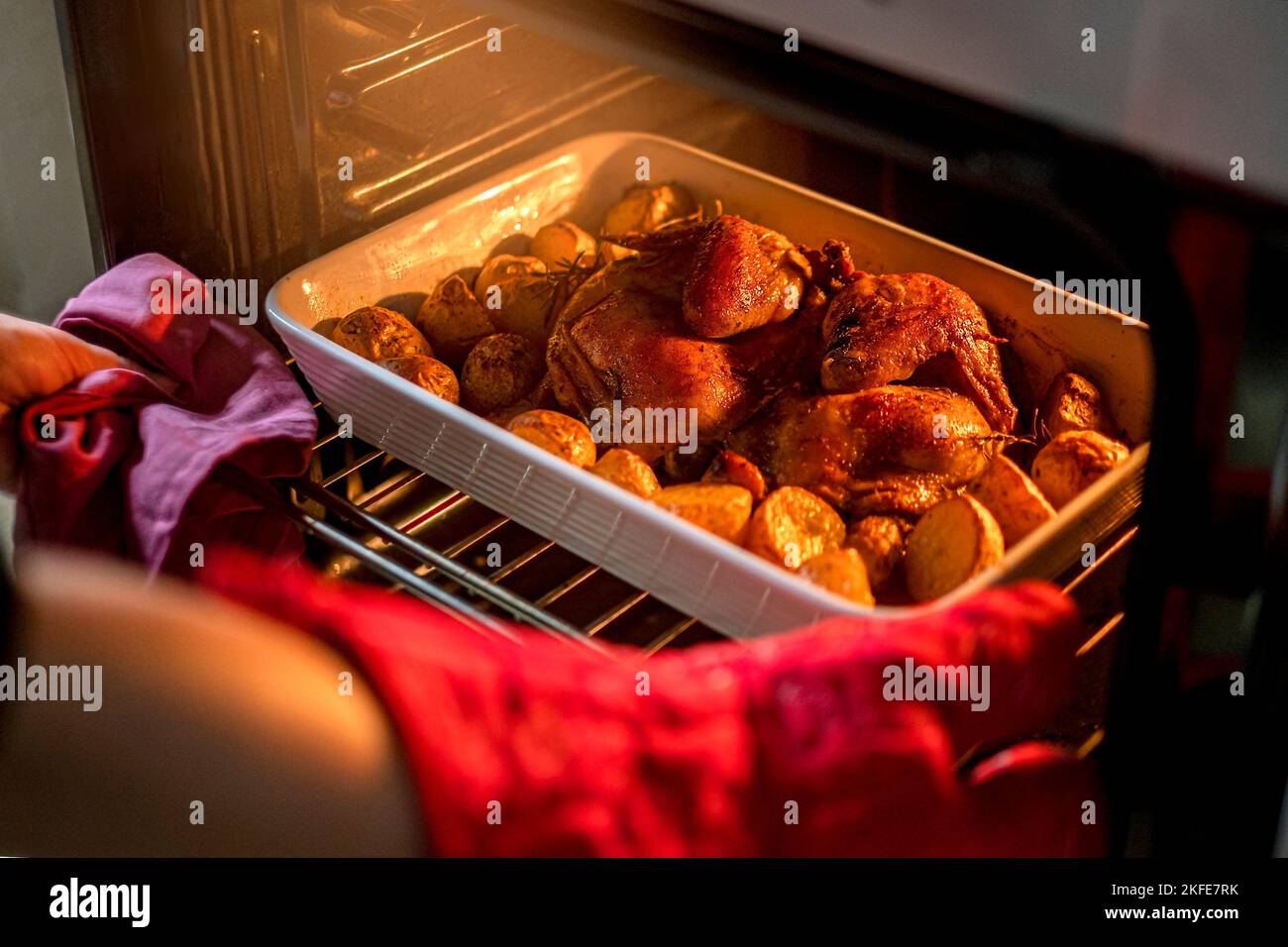 Eine Frau, die Ente mit Kartoffeln kocht und sie aus dem Ofen nimmt. Lifestyle. Weihnachtskonzept oder Thanksgiving-Konzept Stockfoto