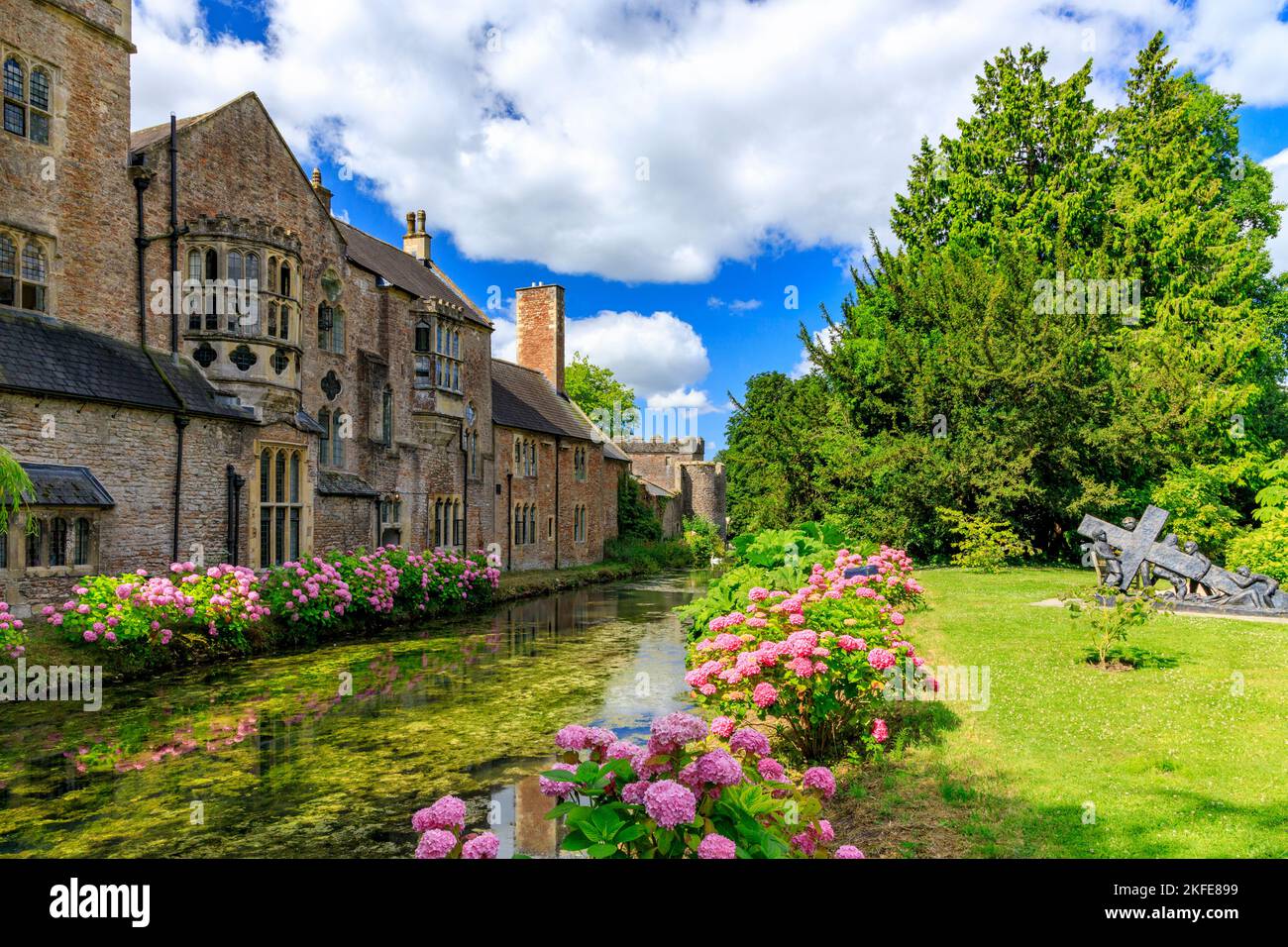 Die historische Fassade und die Hortensien säumten den Graben vor dem Bischofspalast in Wells, Somerset, England, Großbritannien Stockfoto