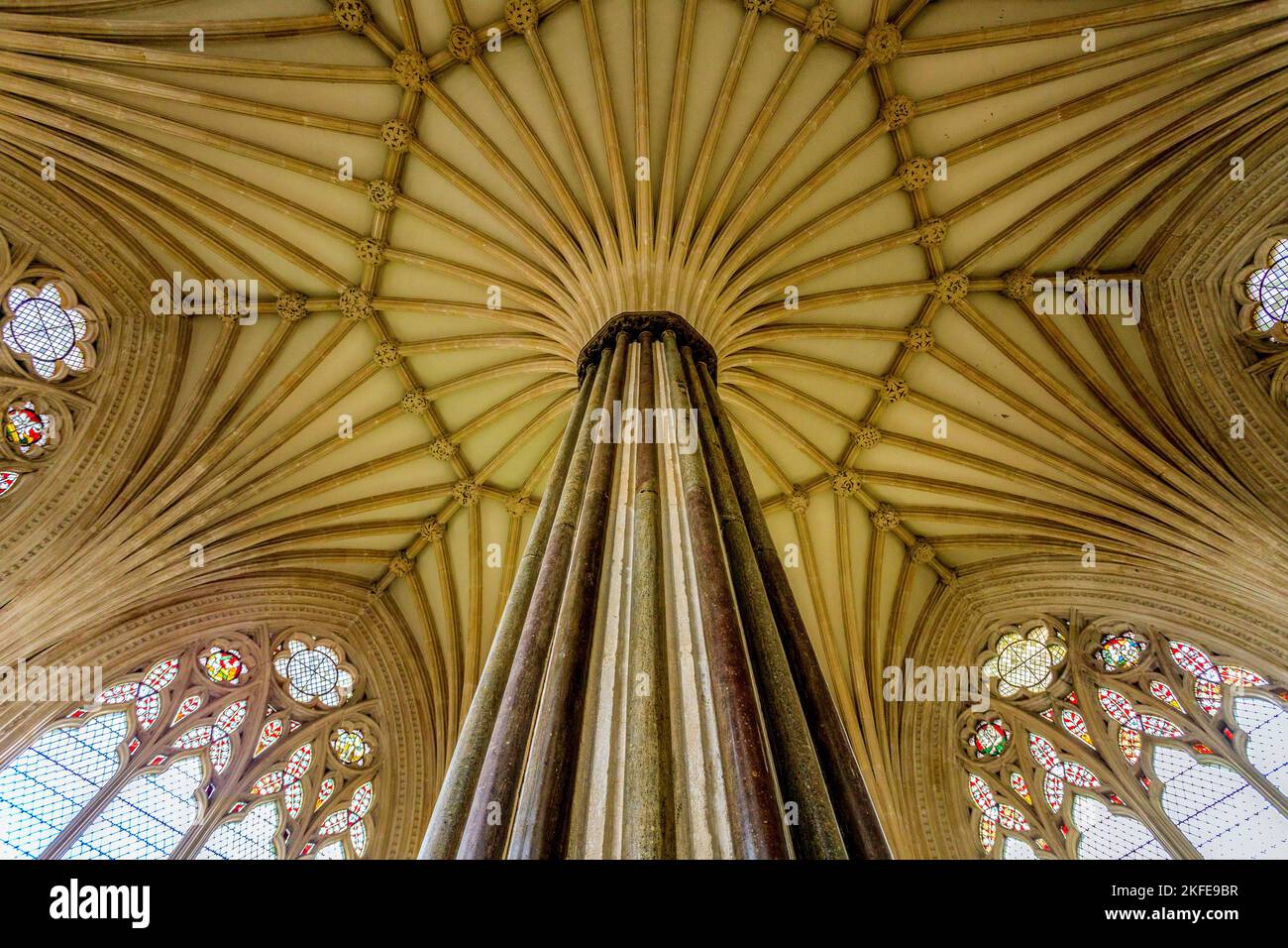 Die dekorativen Fan gewölbten Decke der Kapitelsaal in Wells Cathedral, Somerset, England, UK Stockfoto