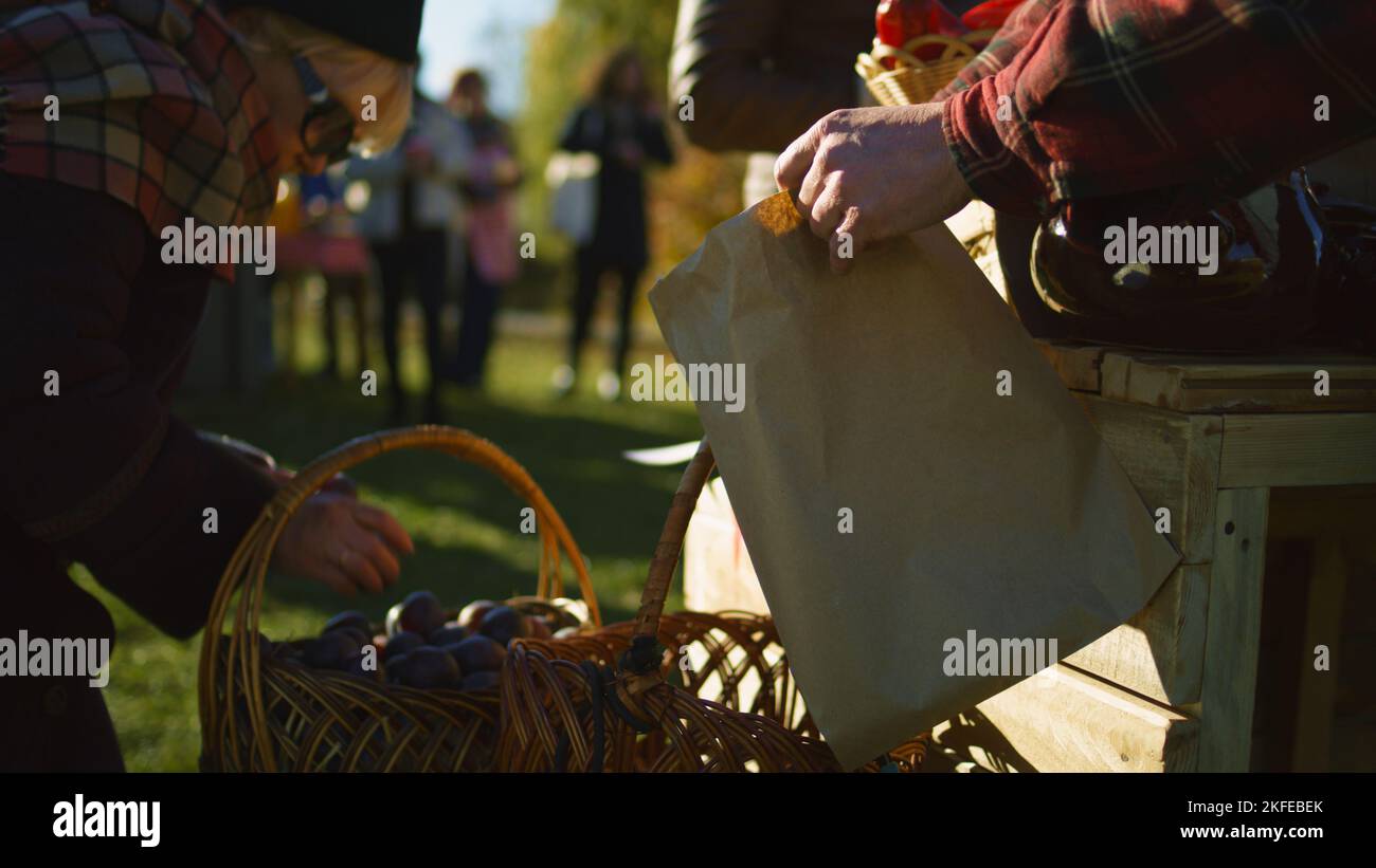 Glücklicher Landwirt, der am Stand Obst und Gemüse verkauft, redet und lächelt. Lokaler Bauernmarkt oder Herbstmarkt im Freien. Vegetarische und Bio-Lebensmittel. Landwirtschaft. Point-of-Sale-System. Stockfoto