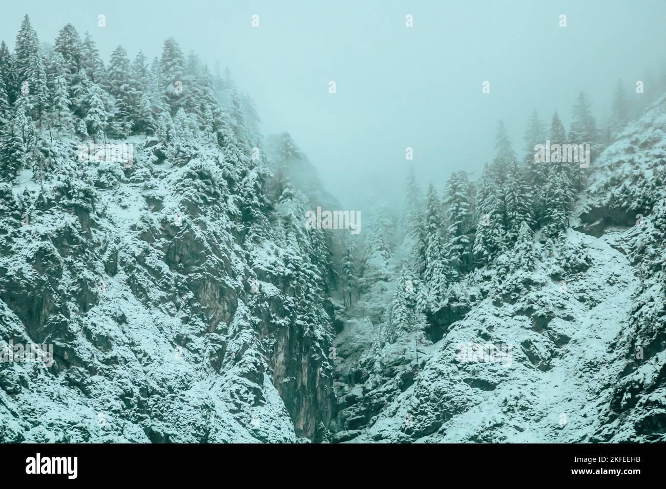 Steinmauer mit Bäumen mit grünem Farbton und Nebel Stockfoto