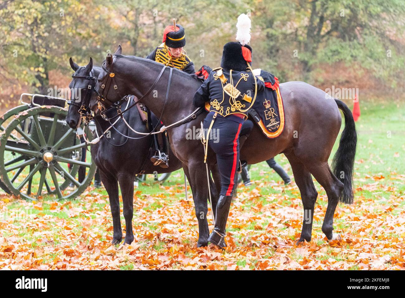 Kings Truppe, Royal Horse Artillery, führte einen 41 Kanonengruß zum Geburtstag von König Charles III in Green Park, London, Großbritannien, durch. Reiter auf einem Pferd Stockfoto