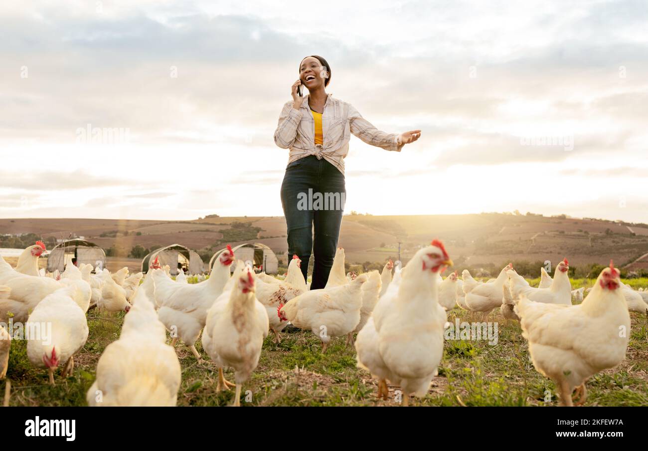 Huhn, Landwirt und schwarze Frau mit Smartphone, Telefonanruf für Hühnerzucht und Landwirtschaft. Landwirtschaftlicher Geflügel und Bio-Freilandhaltung Stockfoto