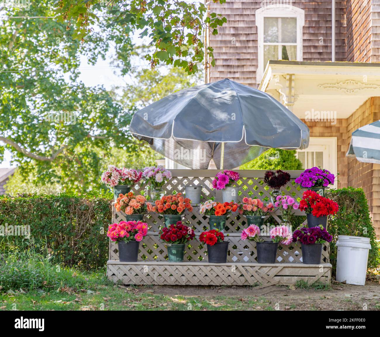 Kleiner Blumenstand in Bridgehampton, NY Stockfoto