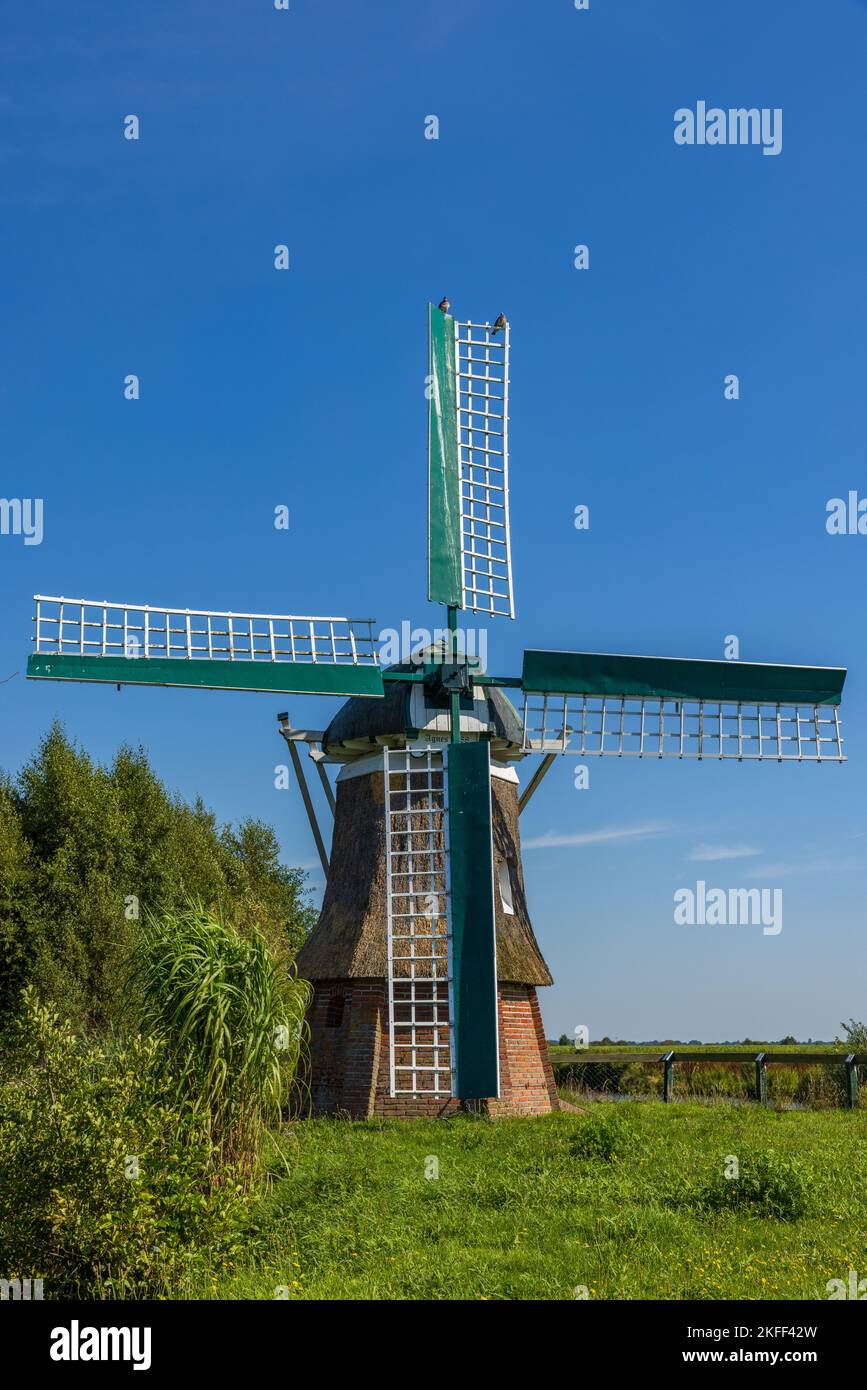 Alte Windmühle in Südbrookmerland, Ostfriesland, Niedersachsen, Deutschland Stockfoto