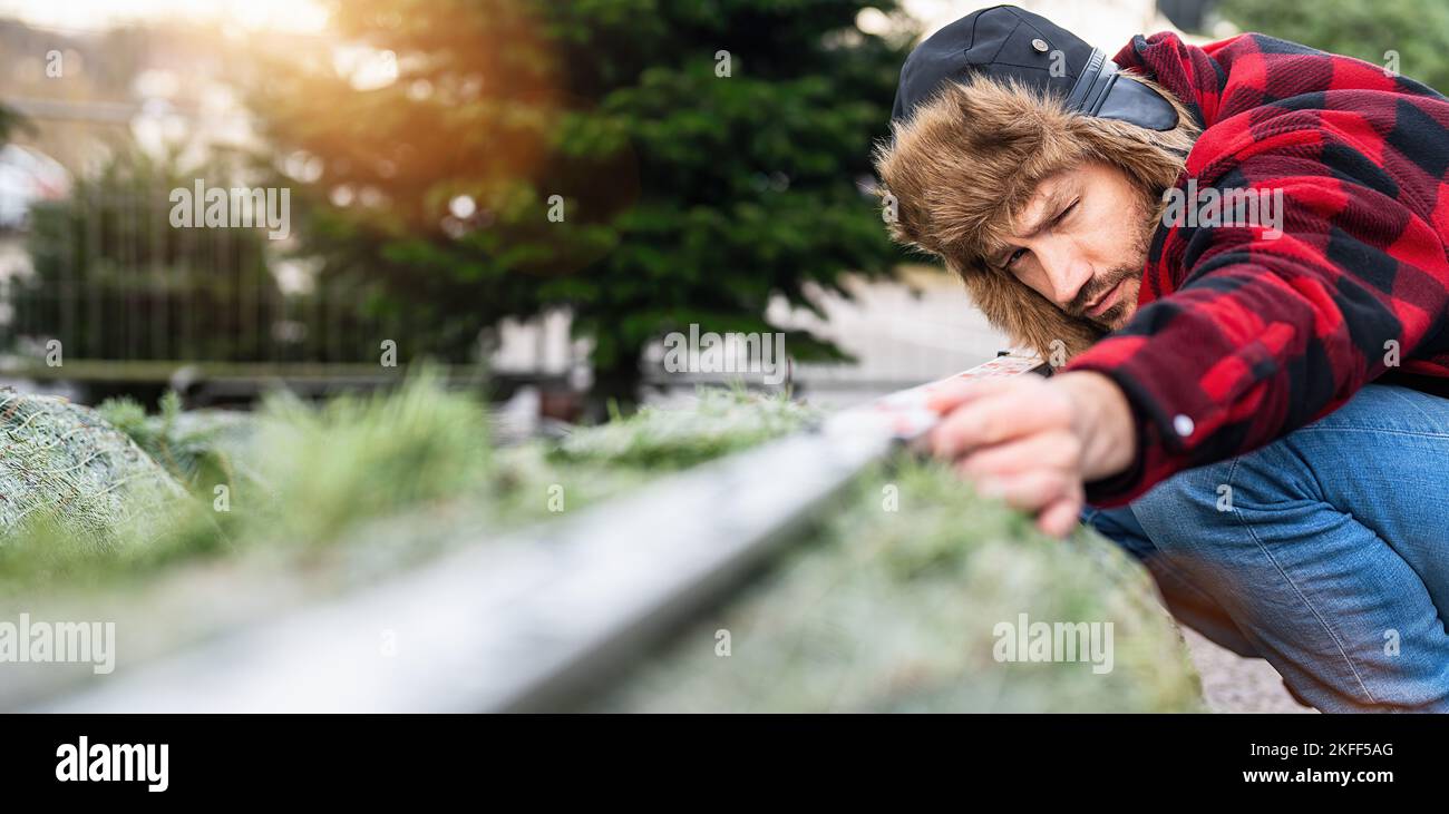 Mann, der auf einen Lineal zum Messen und einen Weihnachtsbaum auf einem Weihnachtsmarkt schaut Stockfoto