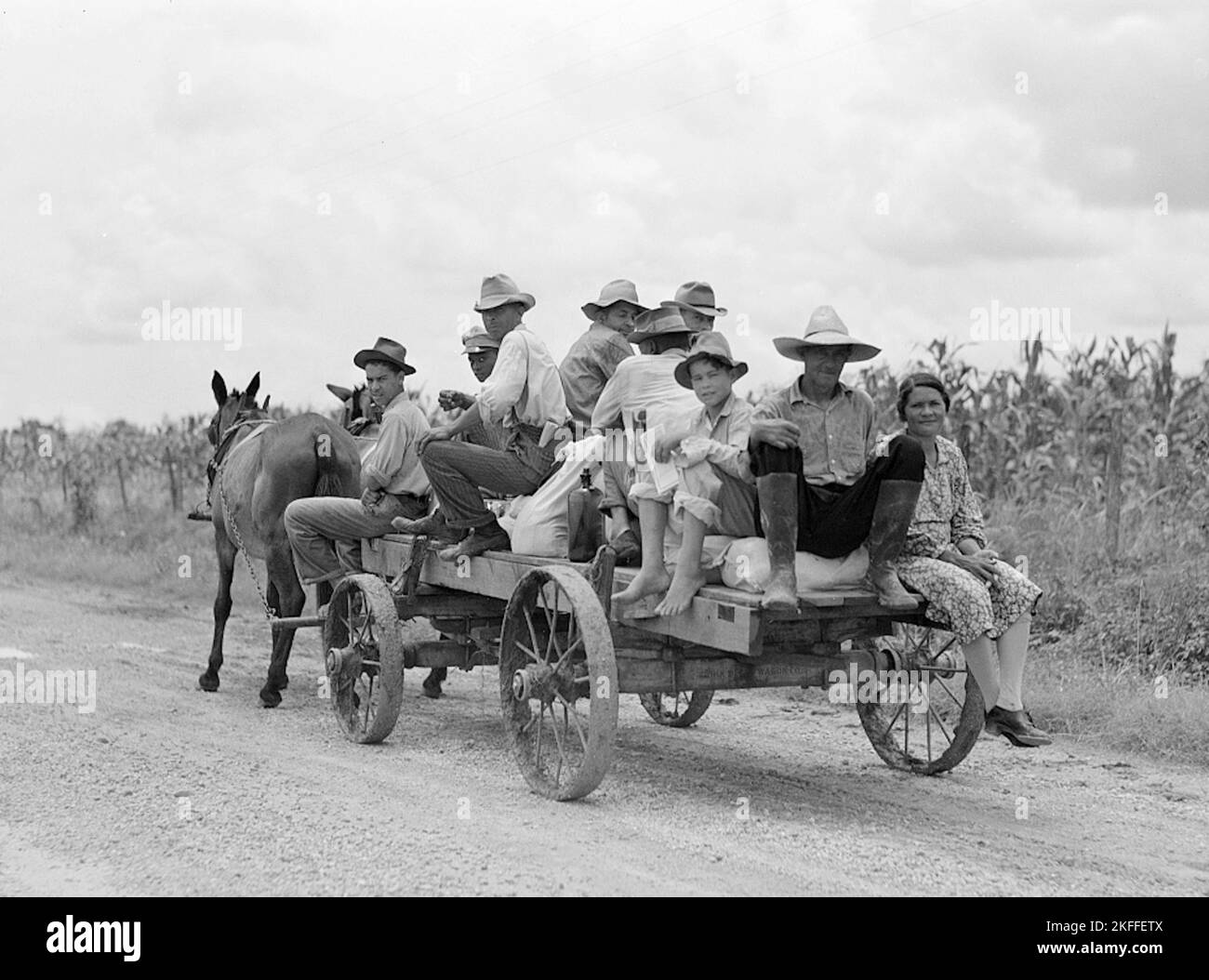 Marion Post Wolcott - 'Mulatten, die aus der Stadt zurückkehren, mit Lebensmitteln und Vorräten in der Nähe von Melrose, Natchitoches Parish, Louisiana.' - Am 1940. Juli Stockfoto