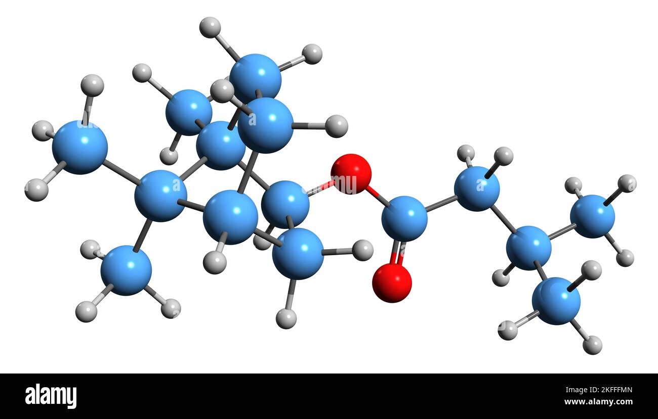 3D Bild der Skelettformel von Bornylizovalerianate - molekulare chemische Struktur der phytochemischen Substanz Valerian officinalis, isoliert auf weißem Hintergrund Stockfoto