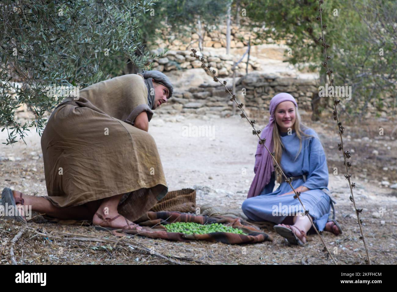 4. November 2022 Ein junges Paar in traditioneller Kleidung, das geerntete Oliven von einem alten Olivenbaum würzt. Das Hotel befindet sich im Nazareth Village Open Air Stockfoto