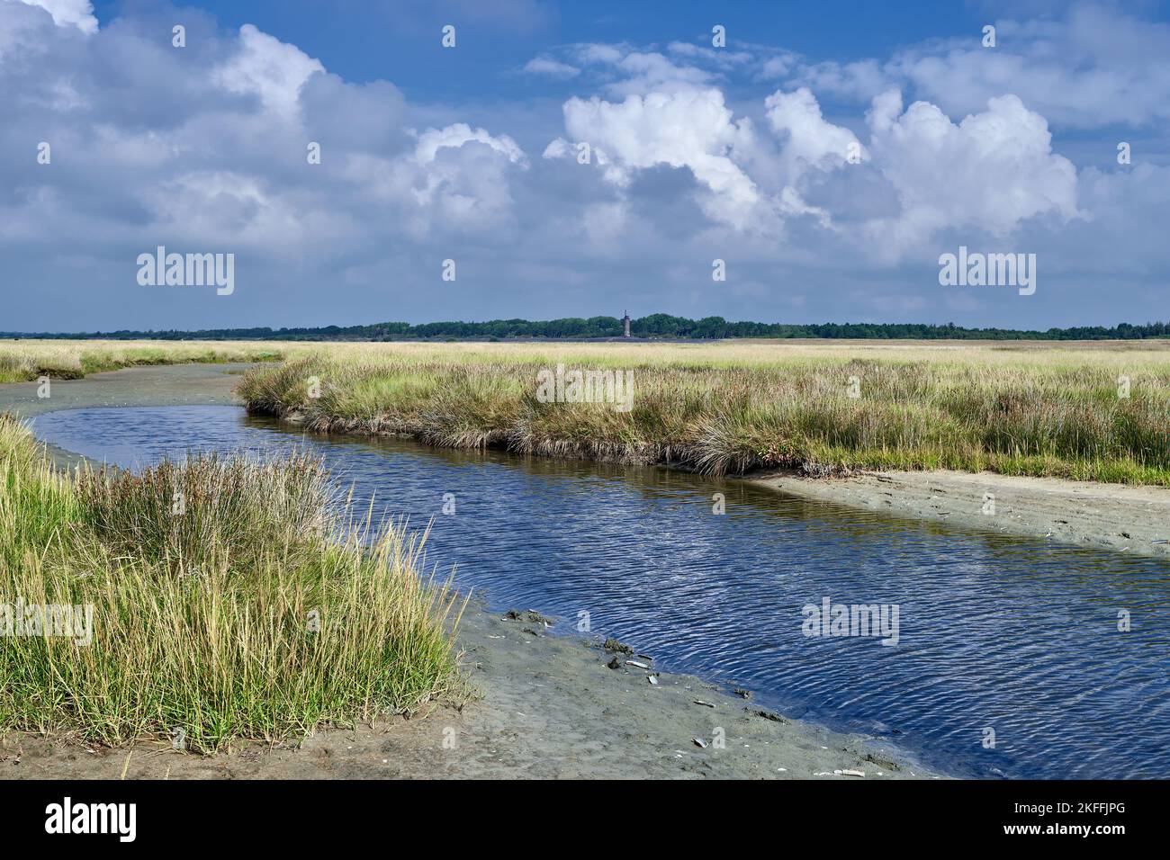 Salzwasser in Sankt Peter-Boehl,Teil von Sankt Peter-Ording,Nordsee,Nordfriesland,Deutschland Stockfoto