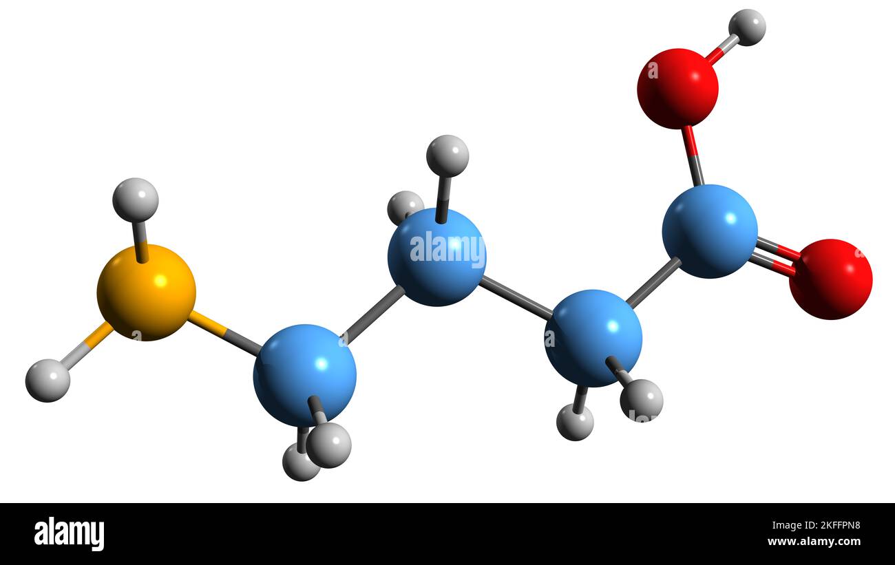 3D Bild der Skelettformel der Gamma-Aminobutyronsäure - molekulare chemische Struktur von 3-Carboxypropylamin, isoliert auf weißem Hintergrund Stockfoto