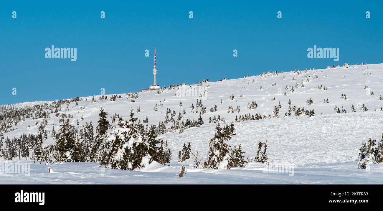 Winter Jeseniky Berge mit Kommunikationstürme auf Praded Hügel vom Wanderweg unten Vysoka Loch Hügel in der Tschechischen republik Stockfoto