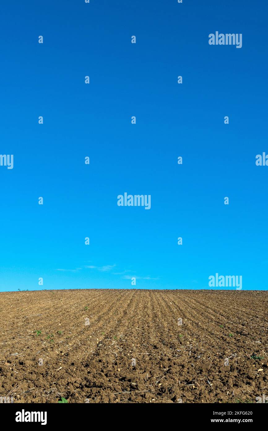 Vertikale Aufnahme eines leeren gepflügten Feldes unter blauem Himmel Stockfoto