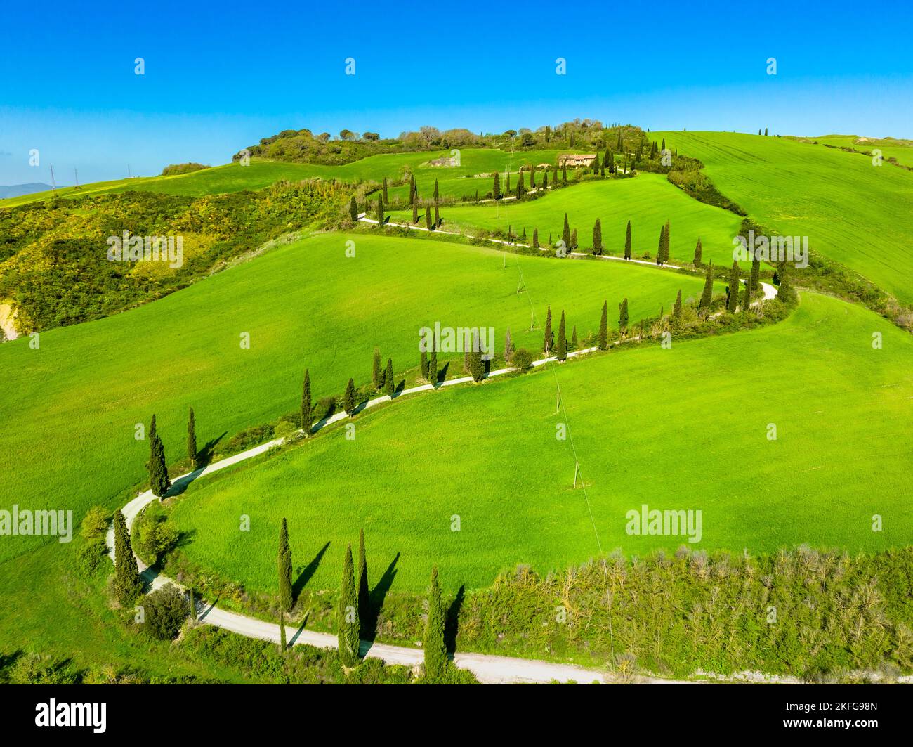Blick auf eine kurvenreiche Straße mit Zypressen in der toskanischen Landschaft. Chianciano, Provinz Siena, Italien Stockfoto
