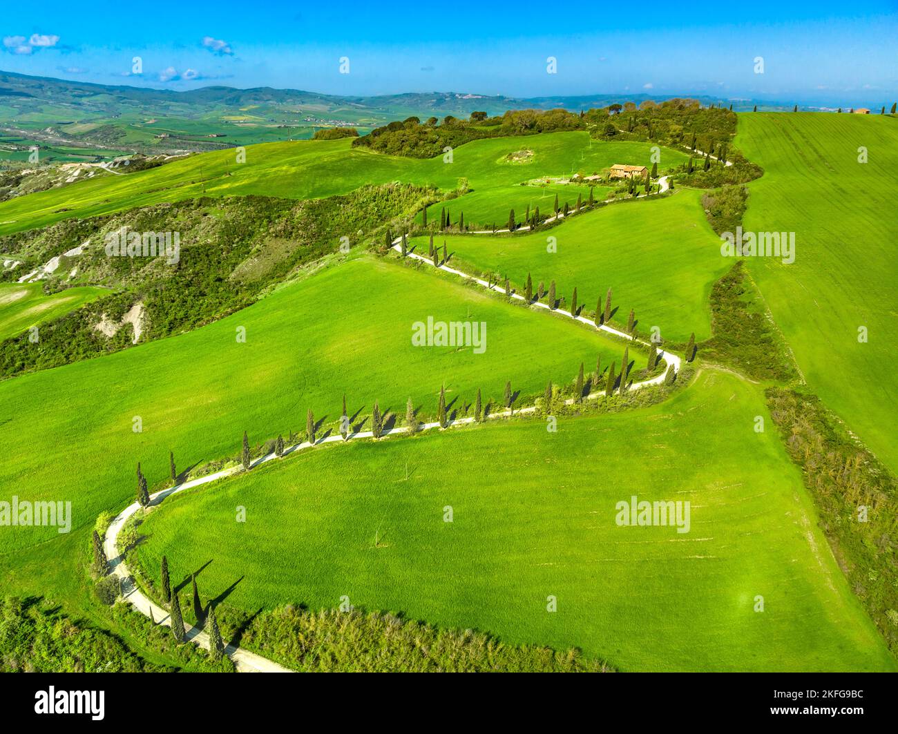 Blick auf eine kurvenreiche Straße mit Zypressen in der toskanischen Landschaft. Chianciano, Provinz Siena, Italien Stockfoto