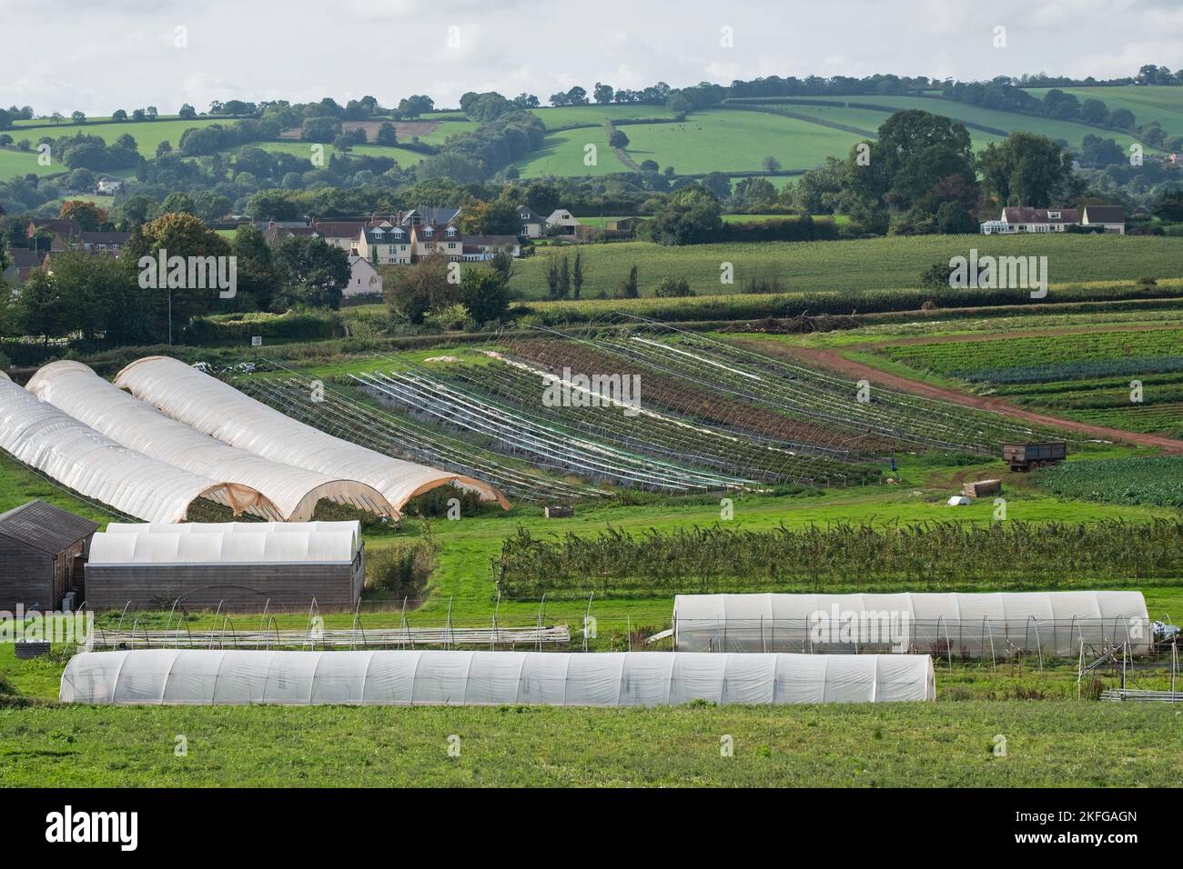 Britischer Marktgarten, der eine Vielzahl von Gemüsekulturen produziert, die sowohl im Freien als auch in Tunneln aus Polyethylen angebaut werden Stockfoto