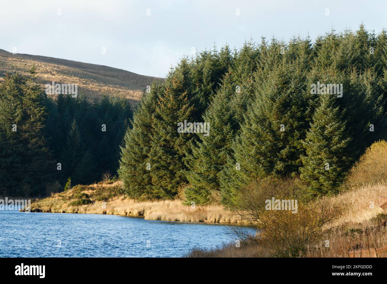 Beacons Reservoir, Brecon Beacons, South Wales, Großbritannien. 18 November '22. Warmes Leuchten während des Nachmittagslichts. Quelle: Andrew Bartlett/Alamy Live News Stockfoto