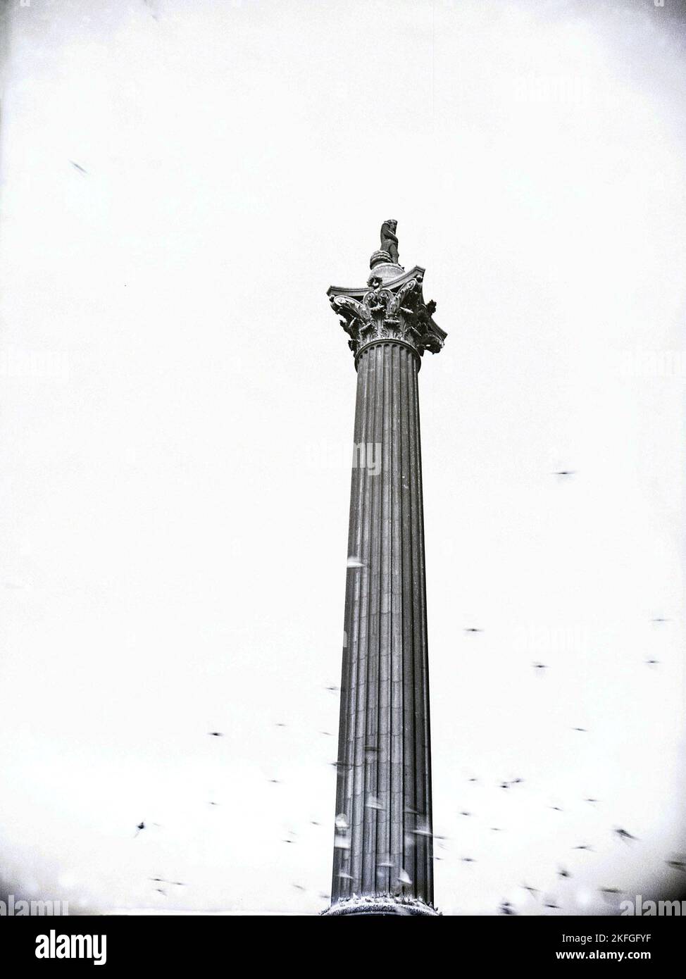 1949, historisch, Nelson's Column, Trafaglar Square, London, England, Großbritannien. Die aus Dartmoor-Granit erbaute Statue kommerzialisiert den Sieg von Admiral Horatio Nelson in der Schlacht von Trafalgar und wurde 1843 fertiggestellt. Eine Sandsteinstatue von Nelson steht oben auf der Säule. Stockfoto