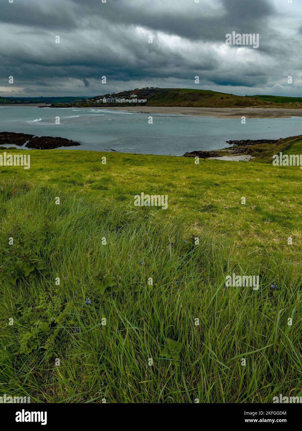 Blick auf die Clonakilty Bay. Dickes Gras, Küste. Küstenlandschaft. Wolkiges Wetter. Stockfoto