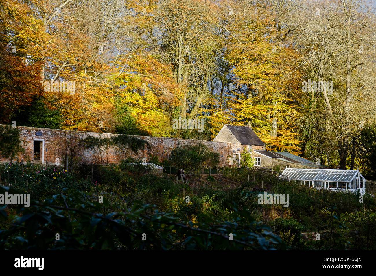 Herbst in den Cerney House Gardens, North Cerney, Gloucestershire Stockfoto