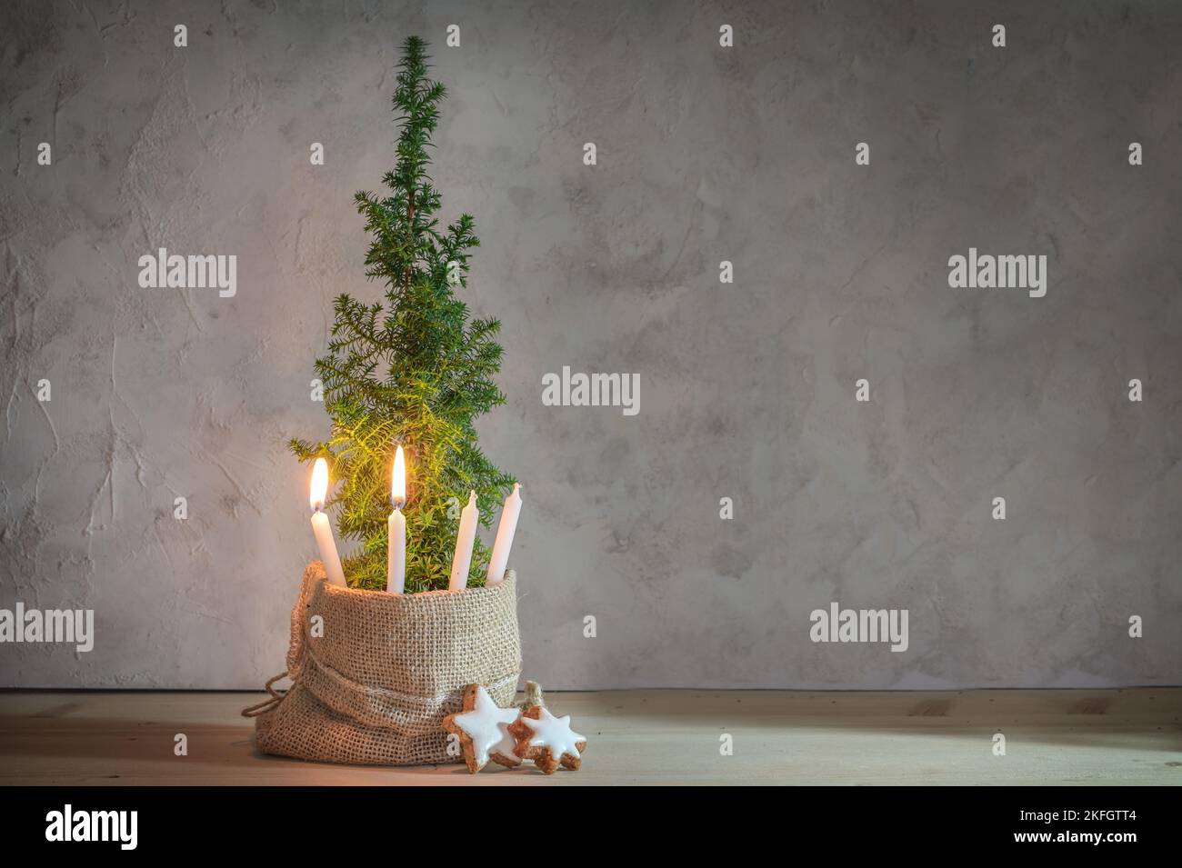 Alternativer Adventskranz, zwei Kerzen, die mit einer Flamme auf einer kleinen Nadelpflanze als Christbaumsymbol angezündet wurden, großer Kopierraum Stockfoto