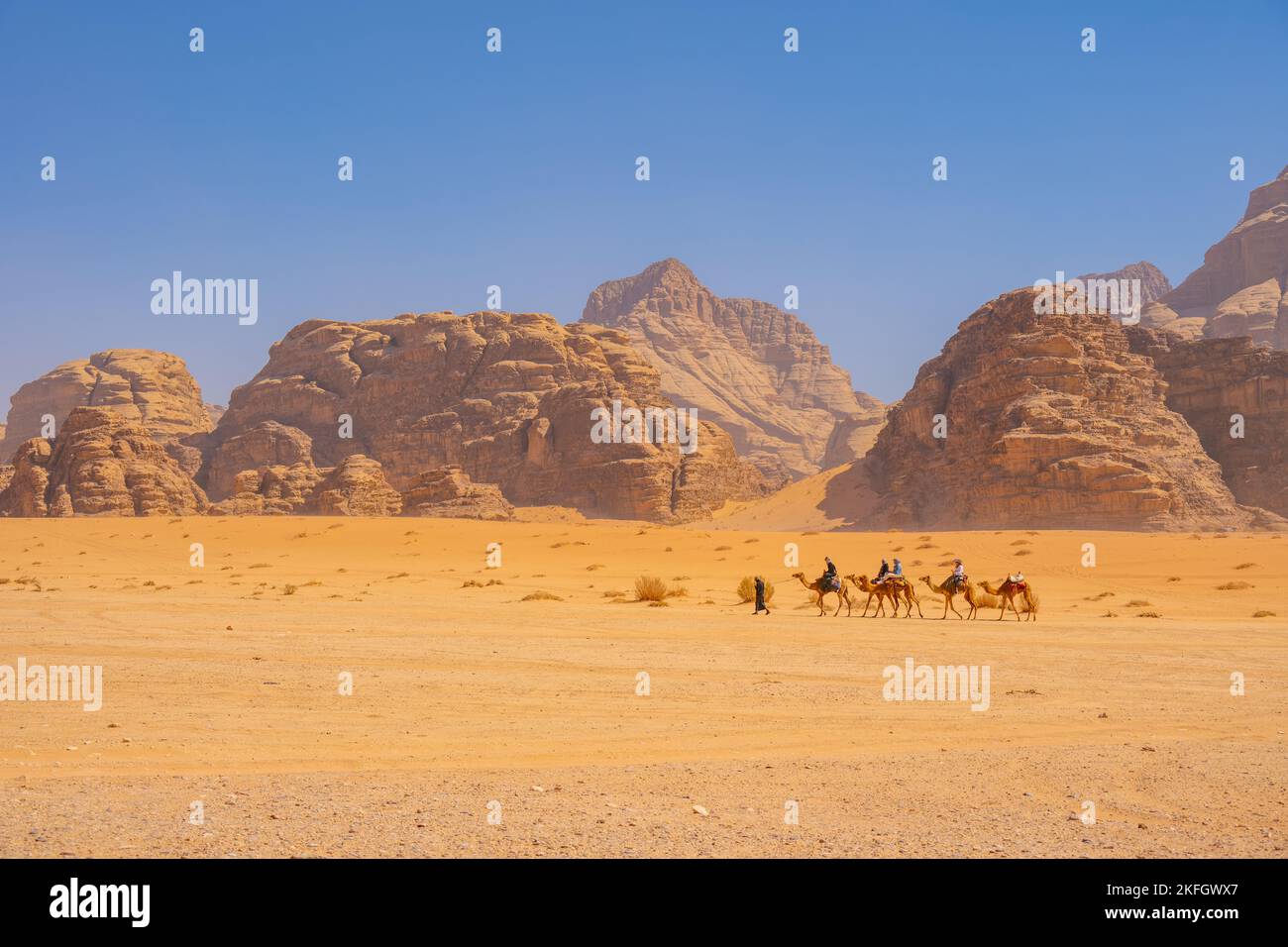 Kamele in den Bergen von Wadi Rum Jordanien Stockfoto