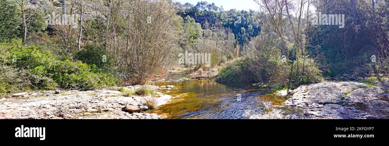 Naturpark Sant Llorens de Munt i l'Obac, Bages, Moyanés; Comarca del Valles Occidental, Barcelona, Katalonien, Spanien, Europa Stockfoto