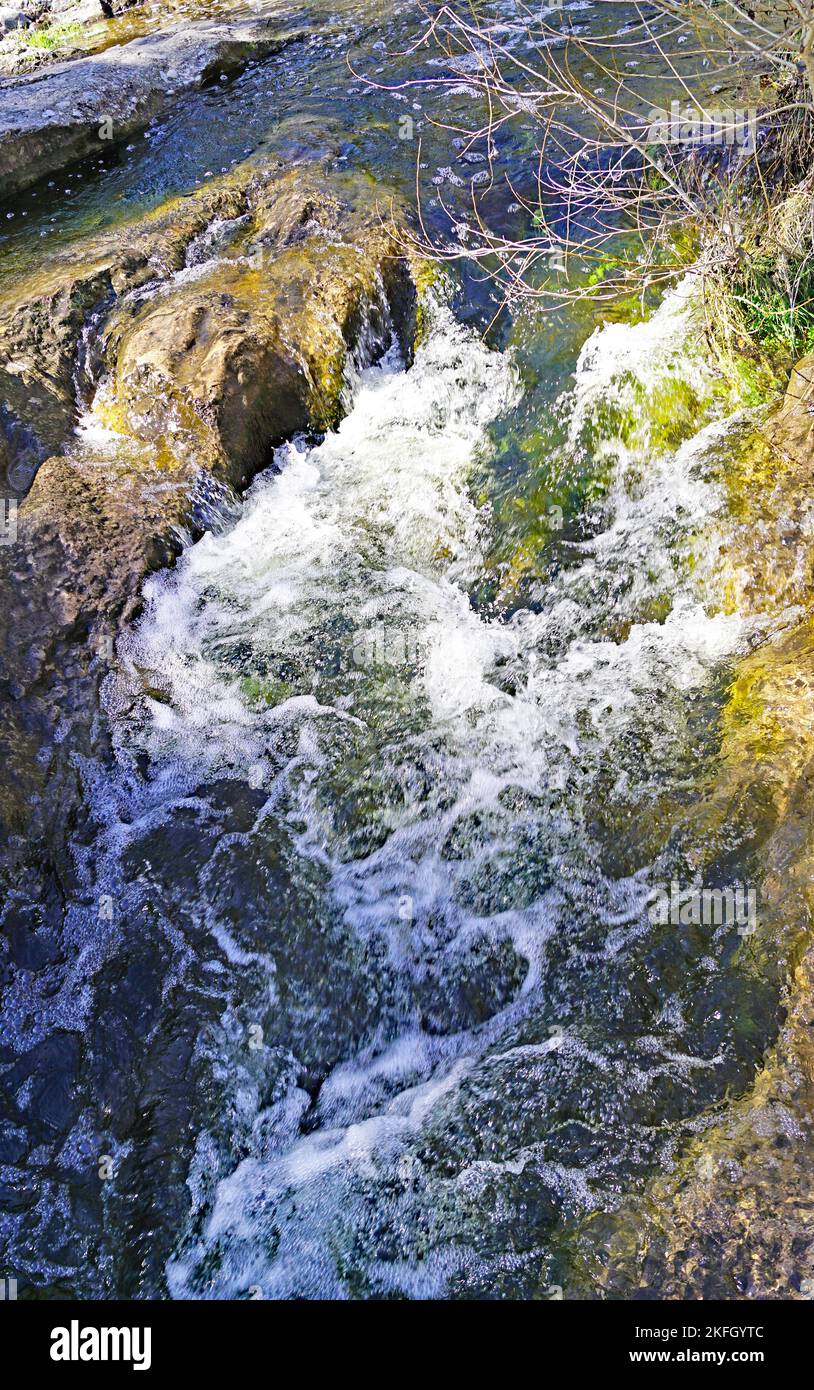 Naturpark Sant Llorens de Munt i l'Obac, Bages, Moyanés; Comarca del Valles Occidental, Barcelona, Katalonien, Spanien, Europa Stockfoto