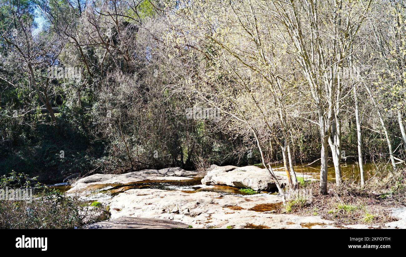 Naturpark Sant Llorens de Munt i l'Obac, Bages, Moyanés; Comarca del Valles Occidental, Barcelona, Katalonien, Spanien, Europa Stockfoto