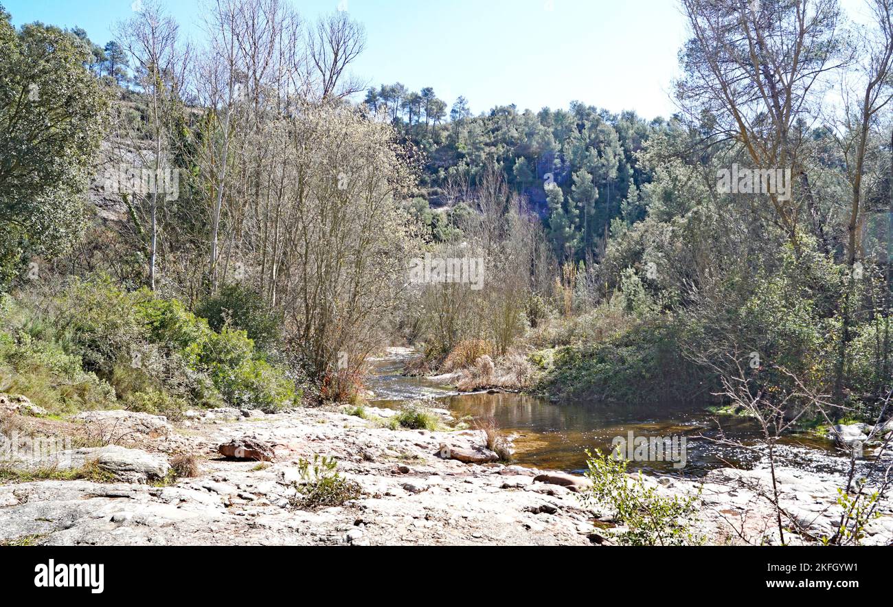 Naturpark Sant Llorens de Munt i l'Obac, Bages, Moyanés; Comarca del Valles Occidental, Barcelona, Katalonien, Spanien, Europa Stockfoto