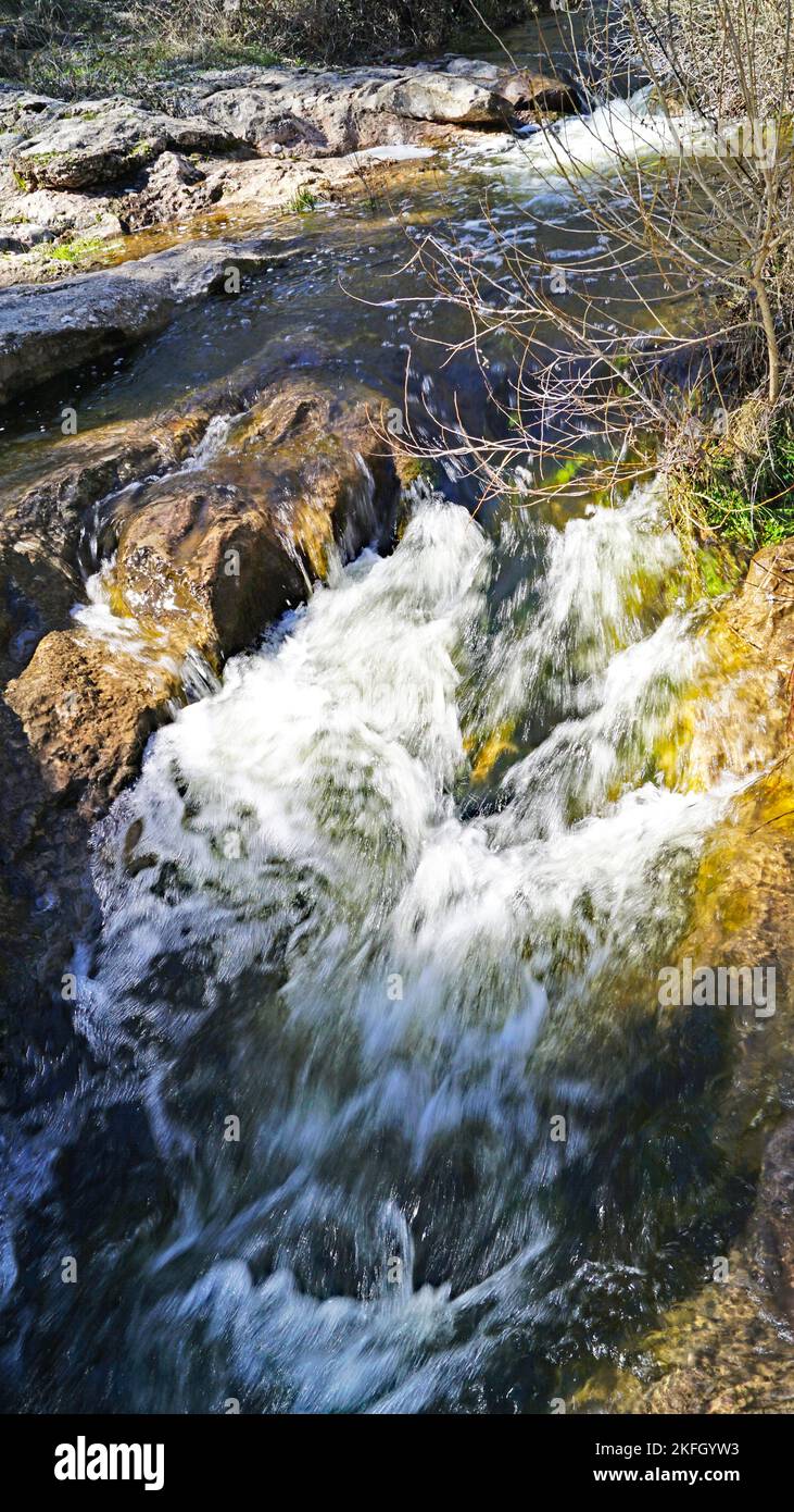 Naturpark Sant Llorens de Munt i l'Obac, Bages, Moyanés; Comarca del Valles Occidental, Barcelona, Katalonien, Spanien, Europa Stockfoto