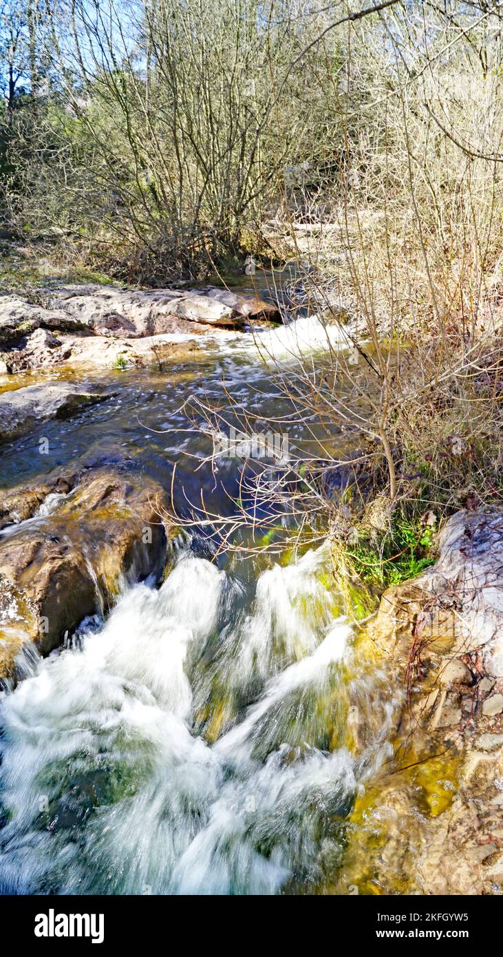 Naturpark Sant Llorens de Munt i l'Obac, Bages, Moyanés; Comarca del Valles Occidental, Barcelona, Katalonien, Spanien, Europa Stockfoto