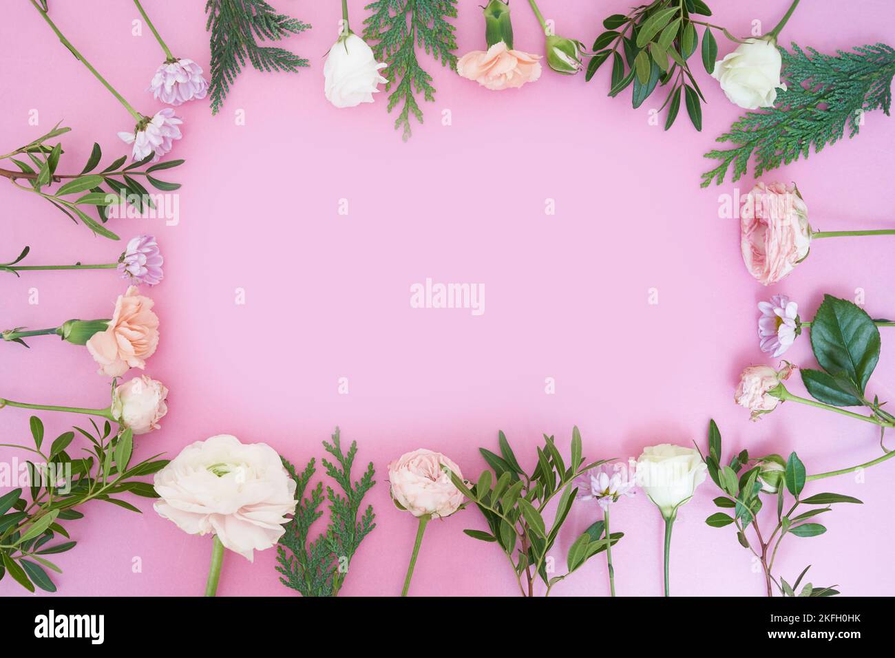 Blick von oben. Nahaufnahme eines Rahmens von frischen Blumen Rose, Ranunculus, Nelke, Wacholder, kunda, bush Chrysantheme, auf einem rosa Hintergrund. Mit einem zu kopierenden Leerzeichen. Hochwertige Fotos Stockfoto