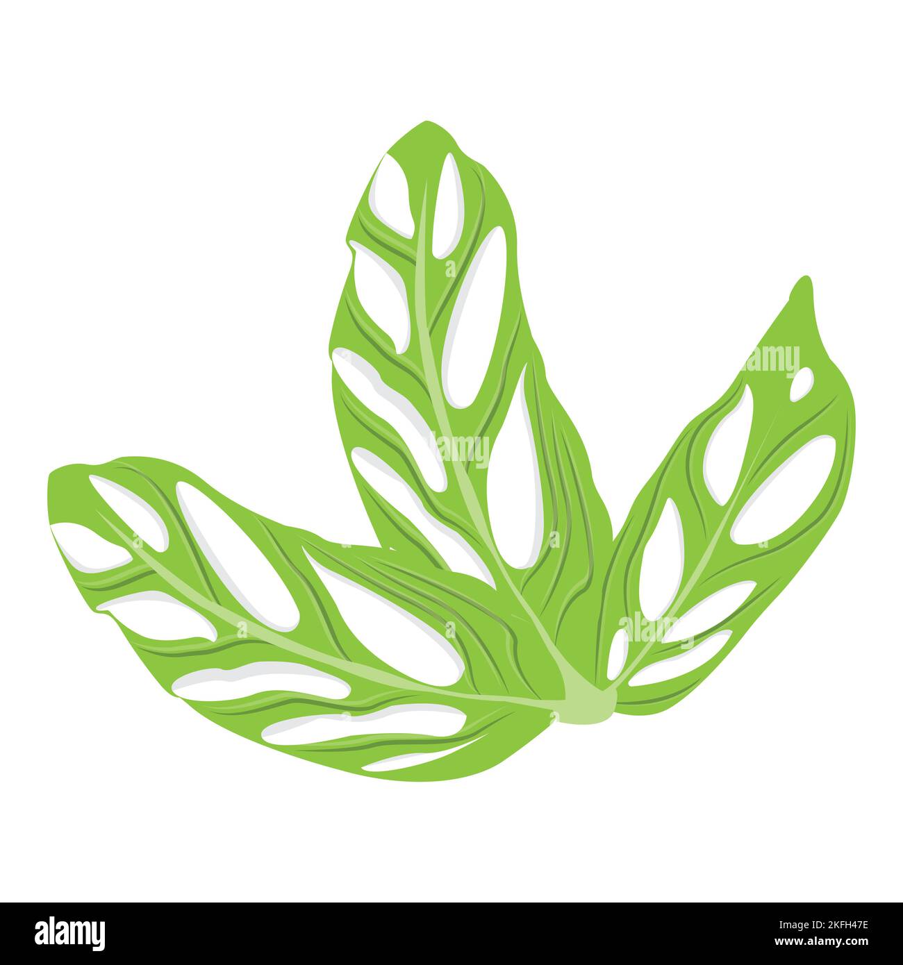 Monstera adansonii Blatt-Logo, Grüner Pflanzenvektor, Baum-Vektor ...