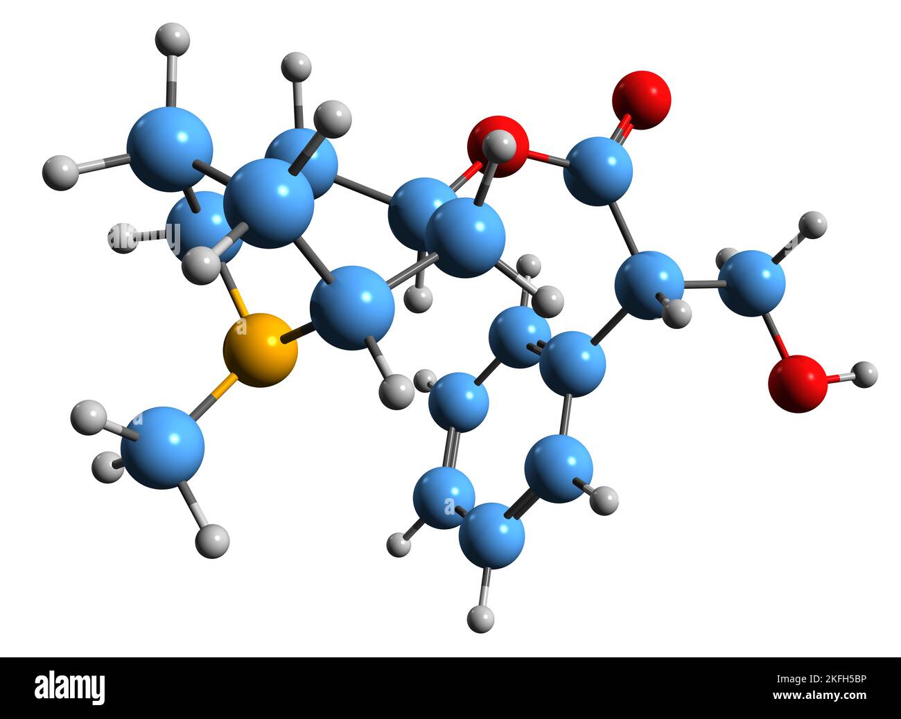 3D Bild der Skelettformel von Hyoscyamin - molekulare chemische Struktur des Tropan-Alkaloid-Daturins auf weißem Hintergrund isoliert Stockfoto