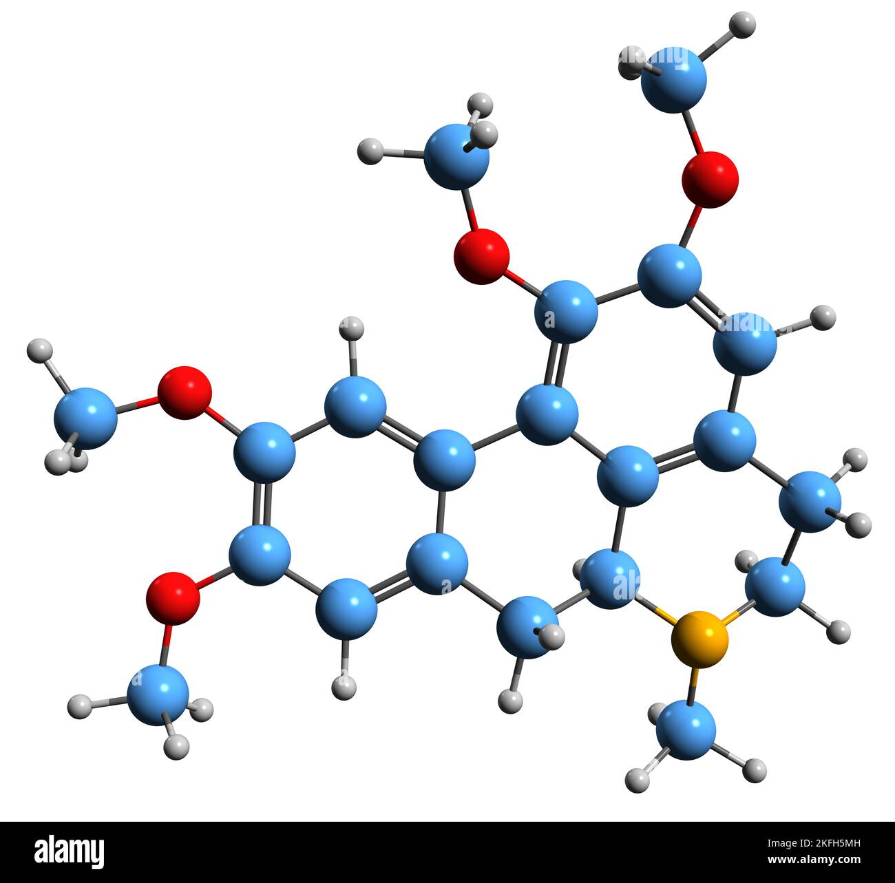 3D Bild der Glaucine-Skelettformel - molekularchemische Struktur des auf weißem Hintergrund isolierten Aporphin-Alkaloids Stockfoto