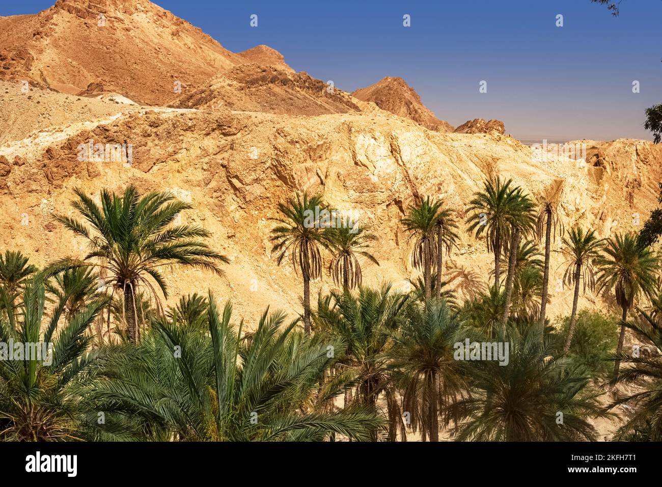 Blick auf die Bergoase von Shebika, mitten in der Sahara-Wüste, Tunesien Stockfoto